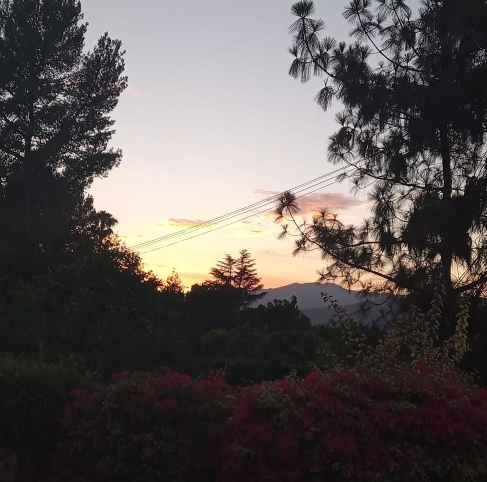 Meet your Posher, Savannah